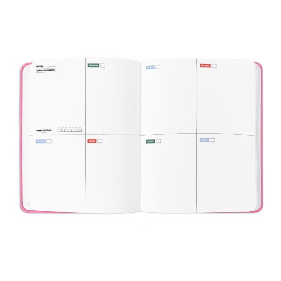 Планер «I HAVE A PLAN» розовый: Фото