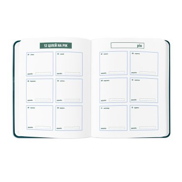 Планер «I HAVE A PLAN» зеленый: Фото - ORNER