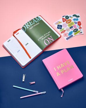 Планер «I HAVE A PLAN» розовый: Фото - ORNER