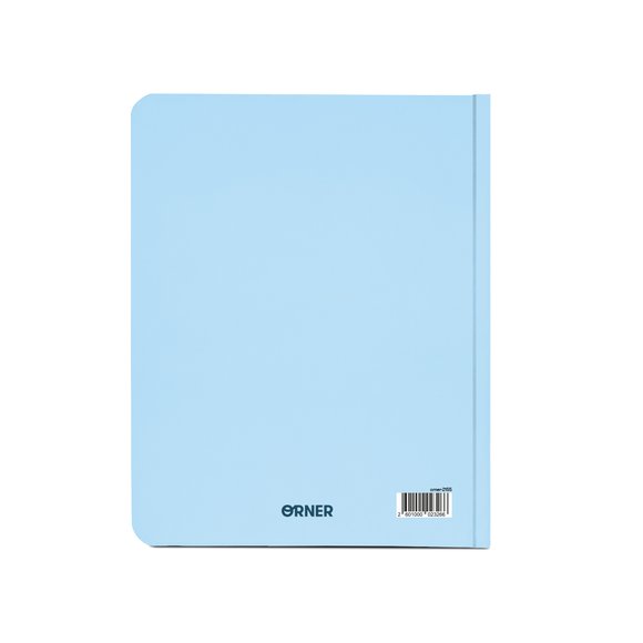Planner I HAVE A BRAVE PLAN patriotic blue: Photo