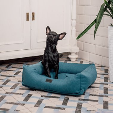 Свое место: как выбрать лежак для любимца?: Фото - ORNER