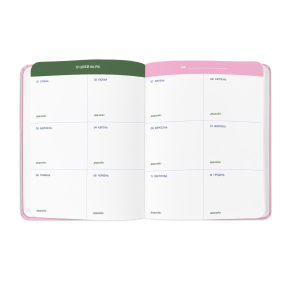 Planner "I HAVE A PLAN" pink with vines: Photo