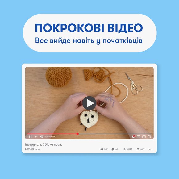 Crochet kit "Owl": Photo