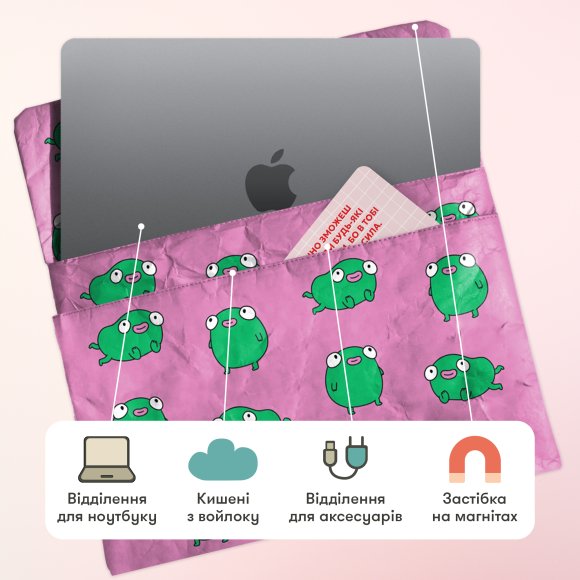 Laptop case "Frog": Photo