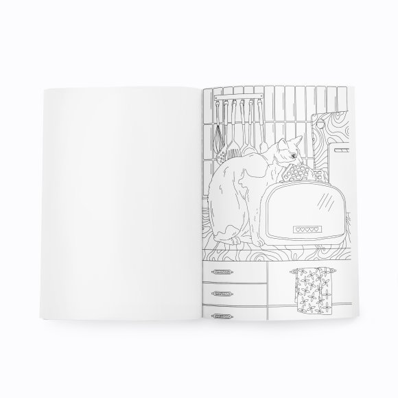 Розмальовка з котиками «Пригоди пухнастих бешкетників»: Фото