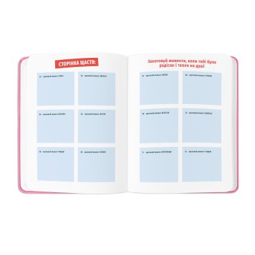 Планер «I HAVE A PLAN» розовый: Фото - ORNER