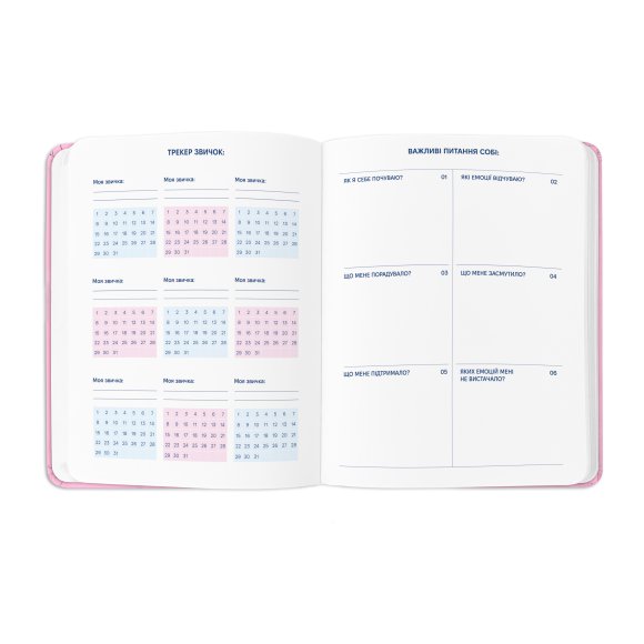 Planner "I HAVE A PLAN" pink with vines: Photo