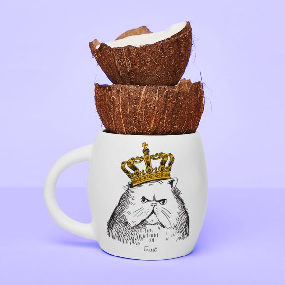 Mug Cat in the crown: Photo