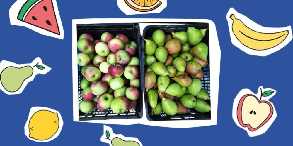 Біжи. Просто біжи: як команда ORNER готується до марафону: Фото 4 - ORNER