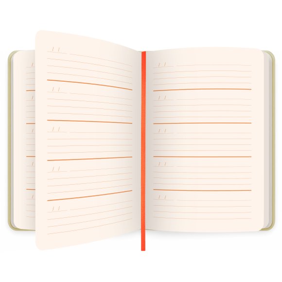 Дневник на 3 года «One line a day» светлый: Фото