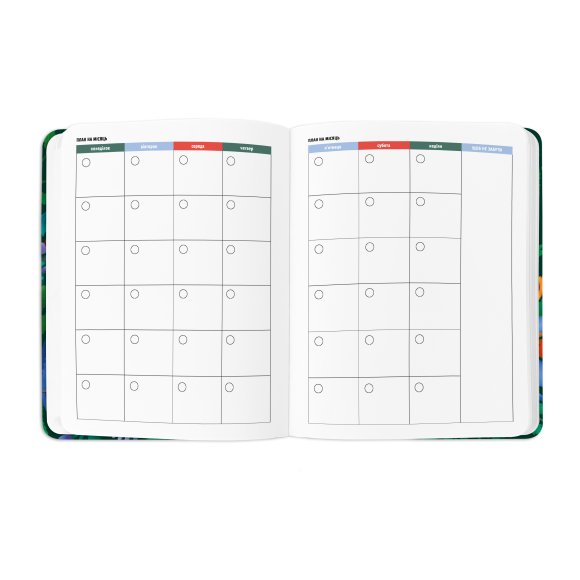 Планер «I HAVE A BRAVE PLAN» красочный темный: Фото