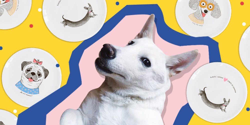 День животных: истории о тех, кто вдохновляет команду ORNER: Фото 3 - ORNER