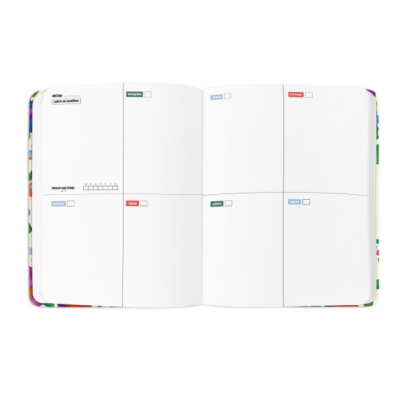 Планер «I HAVE A BRAVE PLAN» барвистий світлий: Фото