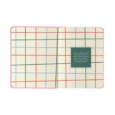 Планер «I HAVE ABSOLUTELY NO PLAN» розовый: Фото - ORNER