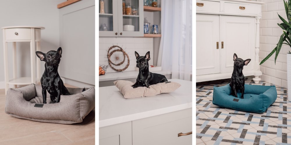 Свое место: как выбрать лежак для любимца?: Фото 2 - ORNER