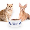 Миска для животных «Всегда мало»: Фото 5