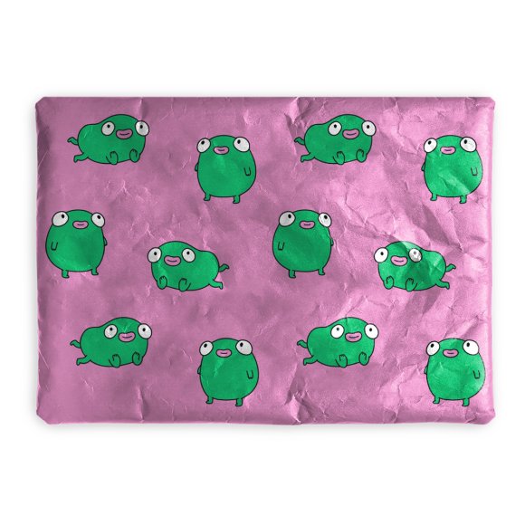 Laptop case "Frog": Photo