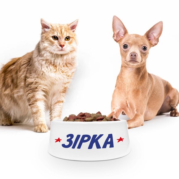 Animals’ bowl Star!: Photo