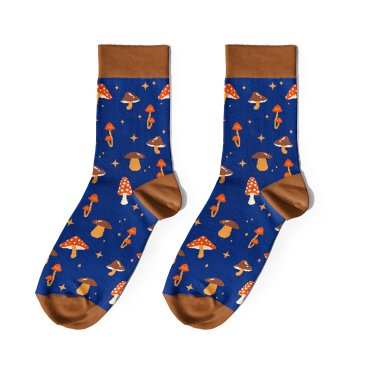 Шкарпетки «Осінні дари» коричневі: фото - ORNER