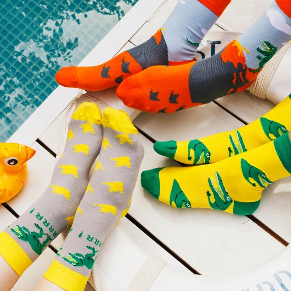 Набор носков «Дино» (41-44): Фото