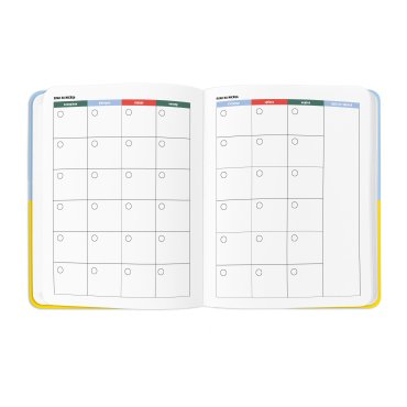 Планер «I HAVE A PLAN» сине-желтый: Фото - ORNER