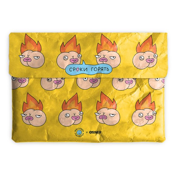 Laptop case "Deadline": Photo