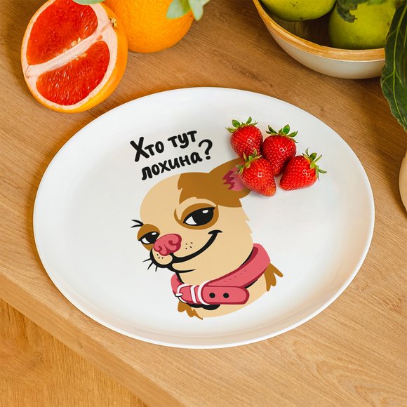 Plate "Who’s the sucker here?": Photo