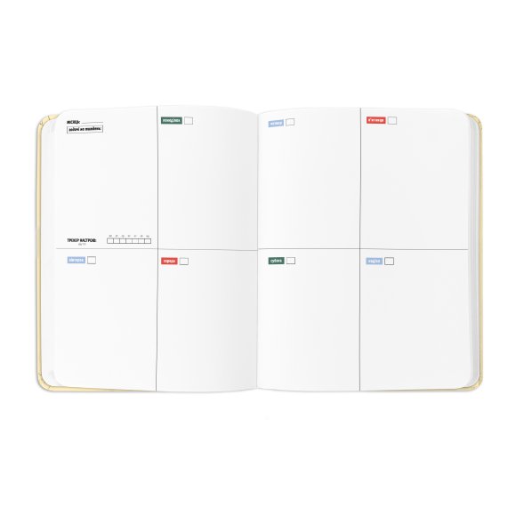 Планер «I HAVE A BRAVE PLAN»: Фото