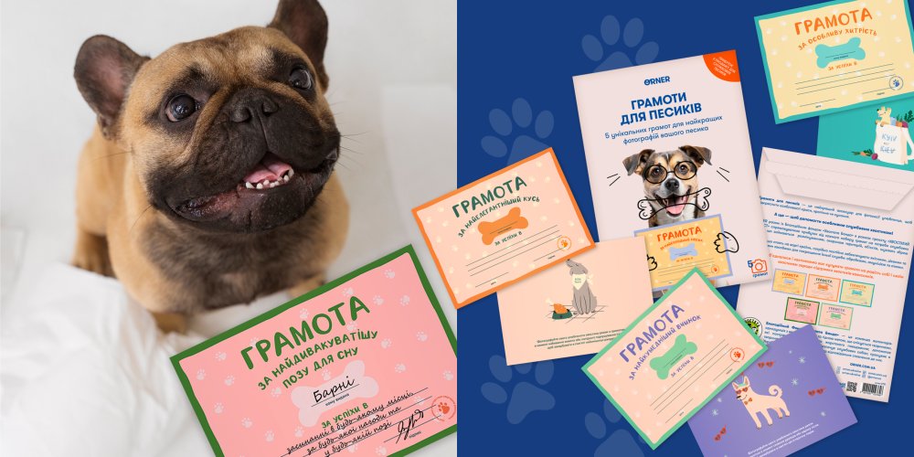 ORNER х Благотворительные спецпроекты: истории сотрудничества: Фото 8 - ORNER