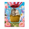 Картина по номерам «Коты на воздушном шаре»: Фото