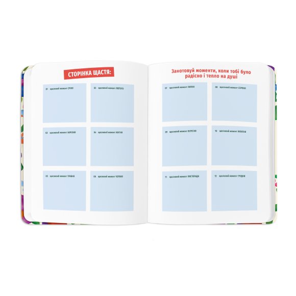 Планер «I HAVE A BRAVE PLAN» барвистий світлий: Фото