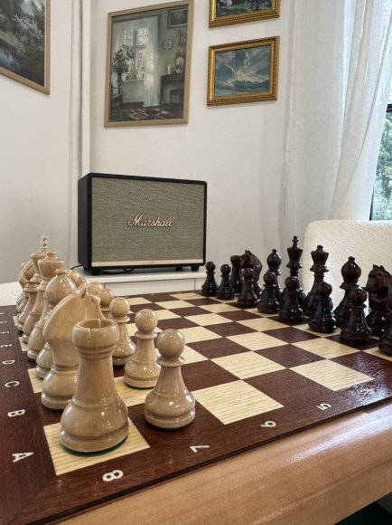 Wooden chess brown: Photo