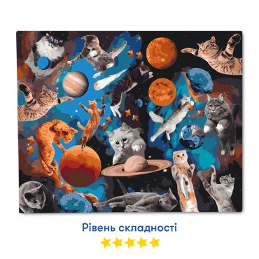 Картина по номерам «Котики в открытом космосе»: Фото - ORNER