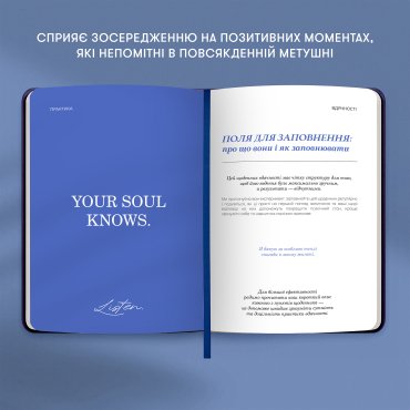 Дневник благодарности «Ночное небо» синий: Фото - ORNER