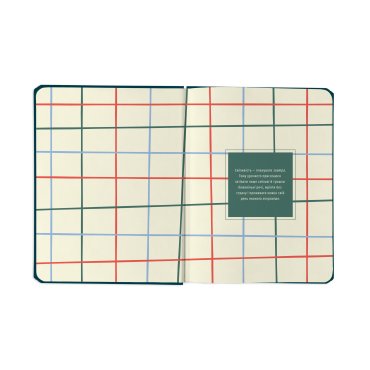 Планер «I HAVE A PLAN» зеленый: Фото - ORNER