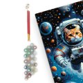 Картина по номерам «Кот-астронавт»: Фото - ORNER