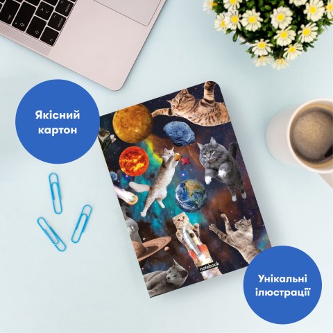 Фото Фото - ORNER