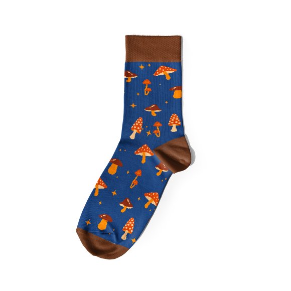 Socks "Autumn Gifts" brown: Photo