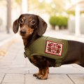 Вышитый патч «Север Украины. Орнамент вышитого рушника»: Фото 6