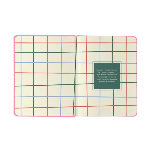 Планер «I HAVE ABSOLUTELY NO PLAN» рожевий: Фото