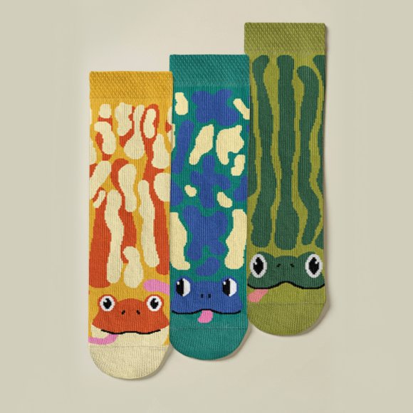 Kids Socks Set "Ribbit": Photo