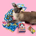 Tarot cards "Cat tarot": Photo 12