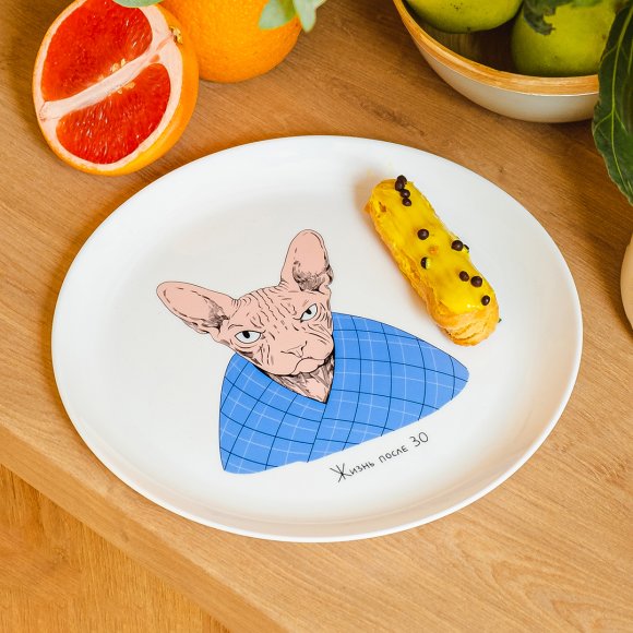 Plate Sphinx RU: Photo