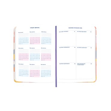 Мини-планер «I HAVE А BLOOMY PLAN mini» красочный: Фото - ORNER