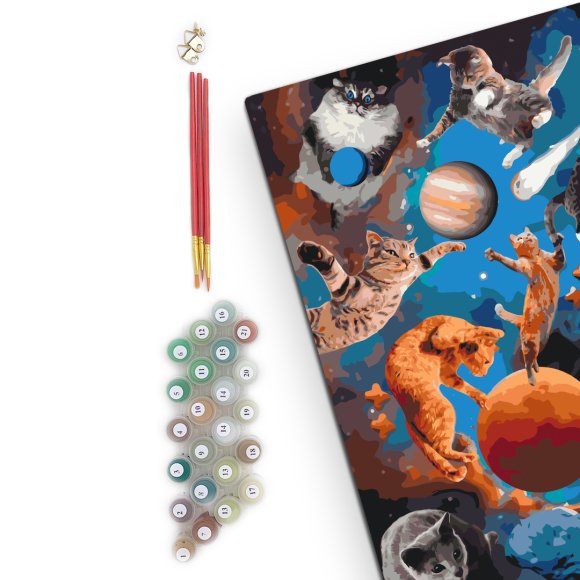 Картина за номерами «Котики у вiдкритому космосi»: Фото