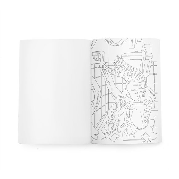 Розмальовка з котиками «Пригоди пухнастих бешкетників»: Фото