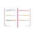 Mini Planner “I HAVE NO PLAN AT ALL mini” pink: Photo 15