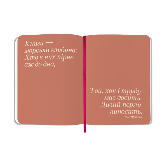 Дневник читательский «I’m reading» серебристый: Фото