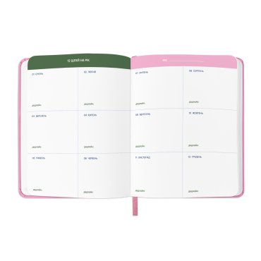 Планер «I HAVE ABSOLUTELY NO PLAN» розовый: Фото - ORNER