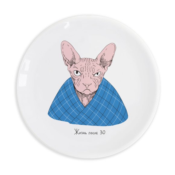 Plate Sphinx RU: Photo